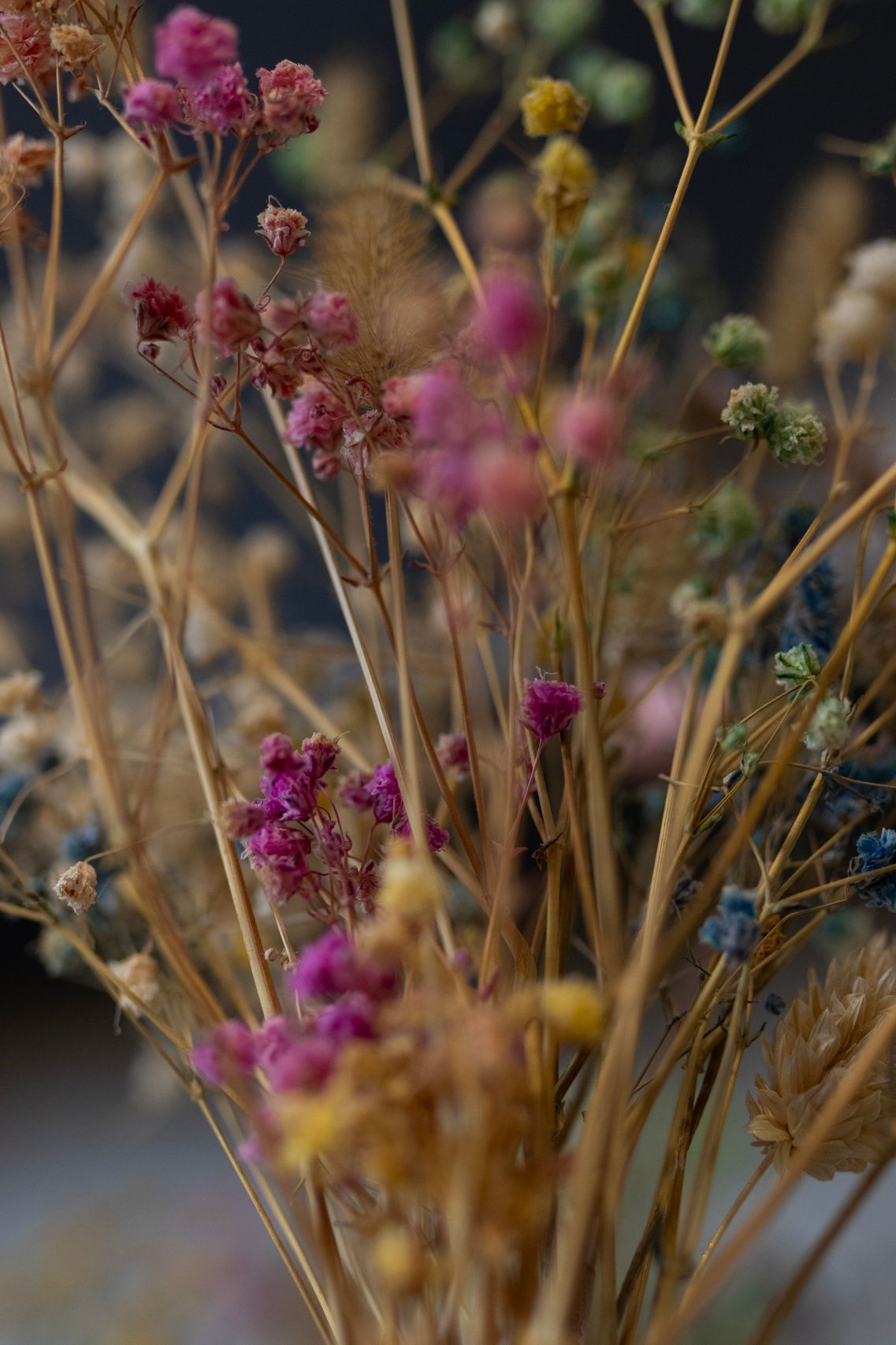Dried wildflowers stem